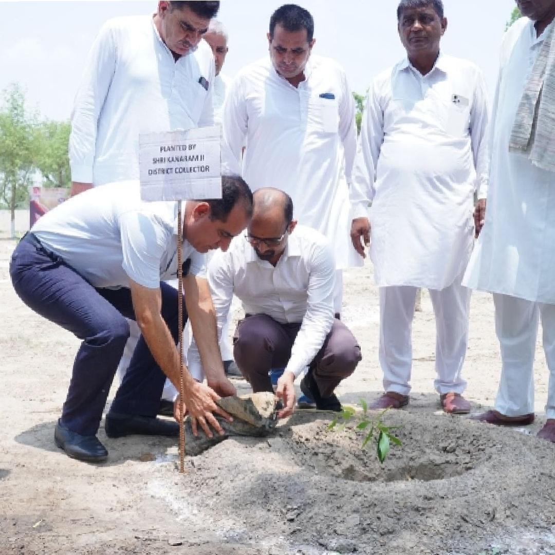 मुख्यमंत्री सघन व्रक्षारोपण