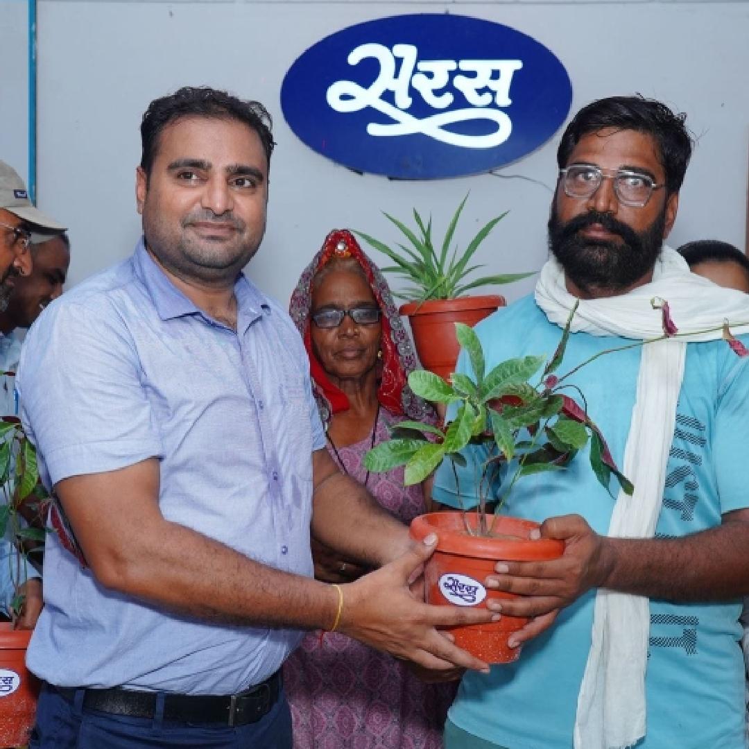 मुख्यमंत्री सघन व्रक्षारोपण